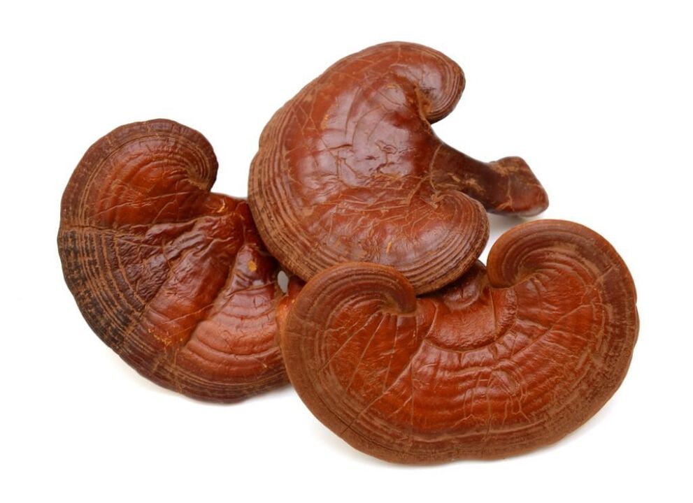 Weiprost vsebuje gobe reishi